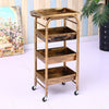 Hairdressing Cart Hair Salon Stroller Hairdressing Tool Car Beauty Cart Barber Shop Stroller Hairdressing Bar