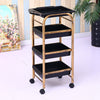 Hairdressing Cart Hair Salon Stroller Hairdressing Tool Car Beauty Cart Barber Shop Stroller Hairdressing Bar