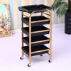 Hairdressing Cart Hair Salon Stroller Hairdressing Tool Car Beauty Cart Barber Shop Stroller Hairdressing Bar